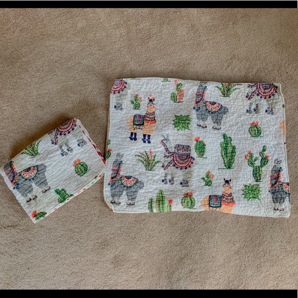 Pillow case pair
